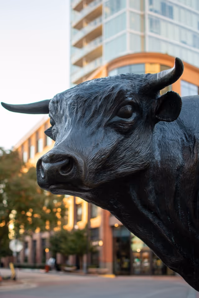 The Durham Bull statue